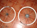 DSC01318.JPG
