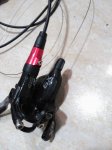 IMG_20160326_001822.jpg