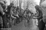 wevelgem-merckx-kemmelberg-920.jpg
