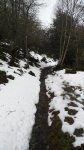 IMG_20160304_120336.jpg