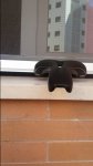20160306_113443.jpg