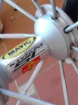 IMG_20160329_101237.jpg