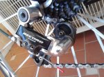 IMG_20160329_101520.jpg