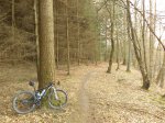IMG_20160324_151444.jpg