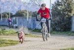 2.Bike Moral '16.jpg