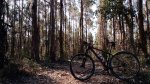 IMG_20160329_104006647.jpg