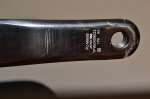 DSC_7800.JPG