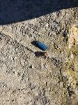 IMG_1815.JPG