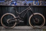 TRG_Evil_Insurgent_Custom_tan1.jpg