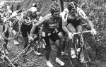 flanders-moser-1000.jpg