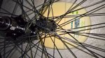 WP_20160321_11_08_14_Pro_LI.jpg