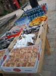 2013-06-09 10.45.48.jpg