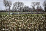 de-panne16st2-hops-1000.jpg