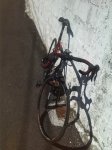 IMG_20160401_151432.jpg