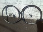 IMG_20160401_153019.jpg
