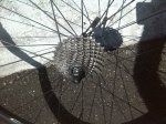 IMG_20160401_153045.jpg
