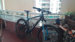IMG_20160403_180751.jpg