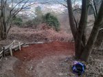 IMG_20160403_205308-1a.jpg