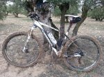 20160320_103109.jpg