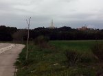 IMG_20160403_163442.jpg