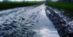Roubaix Pavé 04-04-16.jpg