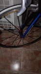 IMG-20160404-WA0036.jpeg