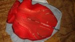 20160405_130641.jpg