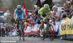 flanders16-boom-van-baarle-920.jpg