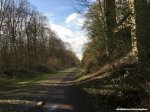 roubaix16mm-arenberg-1000.jpg