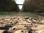 roubaix16mm-arenberg-cobbles-1000.jpg