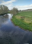 IMG_20160403_105139.jpg
