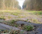 roubaix12-02cobbles620.jpg