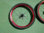 IMG_20160406_142219.jpg