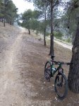 IMG_20160406_122548.jpg