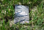 paris-roubaix-07-045-920.jpg