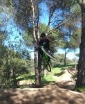 IMG_20160408_092927.jpg