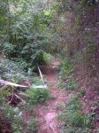 IMG01%20Marxa%202006.jpg