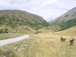 PIC_0014.jpg