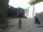 DSC002011.jpg