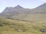 PIC_0031.jpg