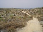 DSC04069.JPG