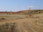 DSC04121.JPG