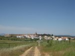 Img_0675.jpg