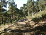vereda02.jpg