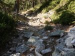 vereda03.jpg