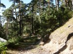 vereda07.jpg