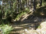 vereda09.jpg
