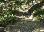 vereda12.jpg