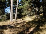 vereda19.jpg