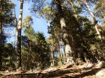 vereda23.jpg